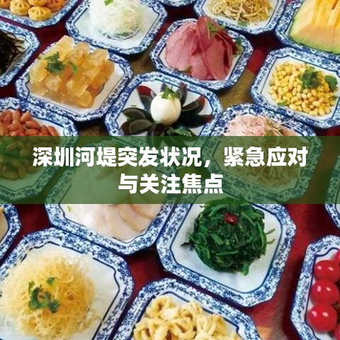 深圳河堤突發(fā)狀況，緊急應(yīng)對(duì)與關(guān)注焦點(diǎn)