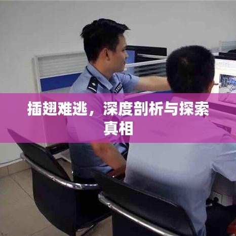 插翅難逃，深度剖析與探索真相