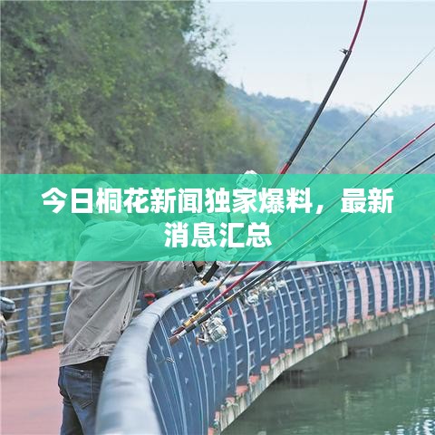今日桐花新聞獨(dú)家爆料，最新消息匯總