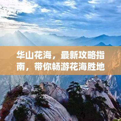 華山花海，最新攻略指南，帶你暢游花海勝地！