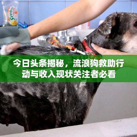 無邊無際 第2頁