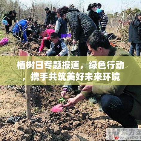 植樹日專題報道，綠色行動，攜手共筑美好未來環(huán)境