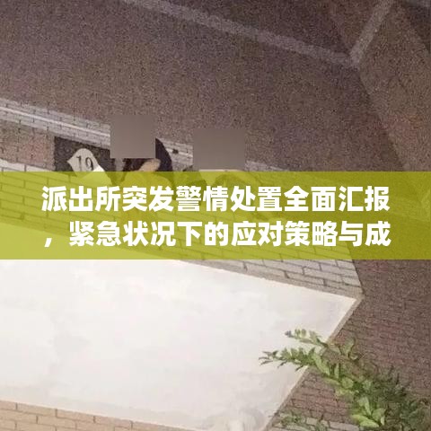 派出所突發(fā)警情處置全面匯報，緊急狀況下的應(yīng)對策略與成效分析