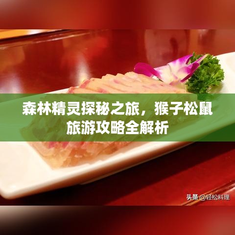 森林精靈探秘之旅，猴子松鼠旅游攻略全解析