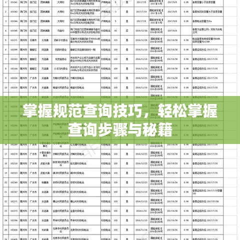 掌握規(guī)范查詢技巧，輕松掌握查詢步驟與秘籍