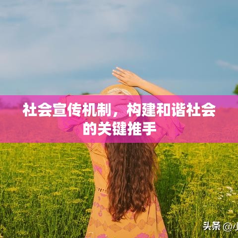 社會(huì)宣傳機(jī)制，構(gòu)建和諧社會(huì)的關(guān)鍵推手