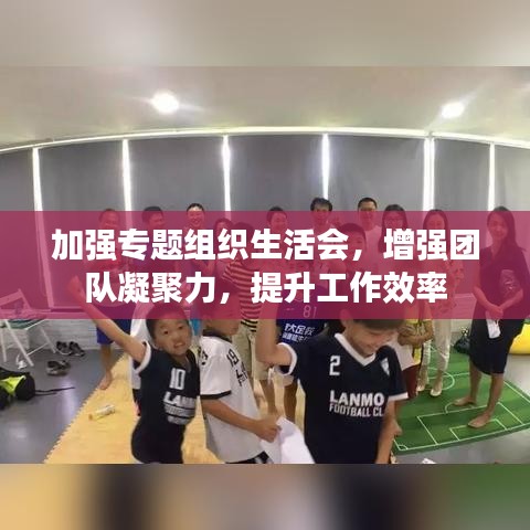 加強專題組織生活會，增強團隊凝聚力，提升工作效率
