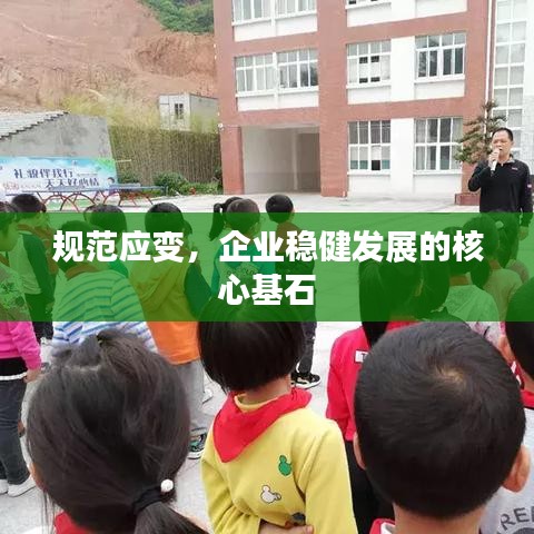 規(guī)范應(yīng)變，企業(yè)穩(wěn)健發(fā)展的核心基石