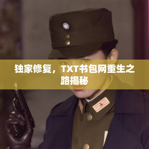 獨家修復(fù)，TXT書包網(wǎng)重生之路揭秘
