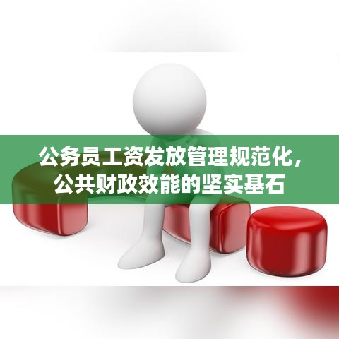 公務(wù)員工資發(fā)放管理規(guī)范化，公共財政效能的堅實基石