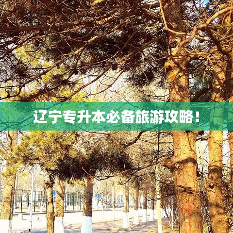 遼寧專升本必備旅游攻略！