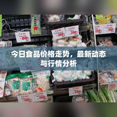 今日食品價格走勢，最新動態(tài)與行情分析