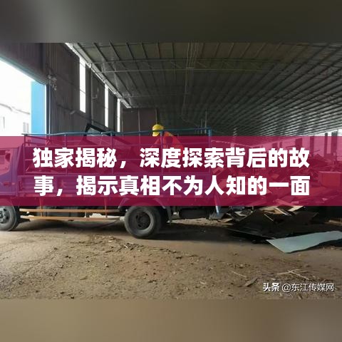 獨(dú)家揭秘，深度探索背后的故事，揭示真相不為人知的一面