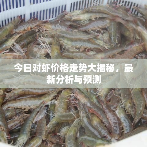 今日對(duì)蝦價(jià)格走勢(shì)大揭秘，最新分析與預(yù)測(cè)