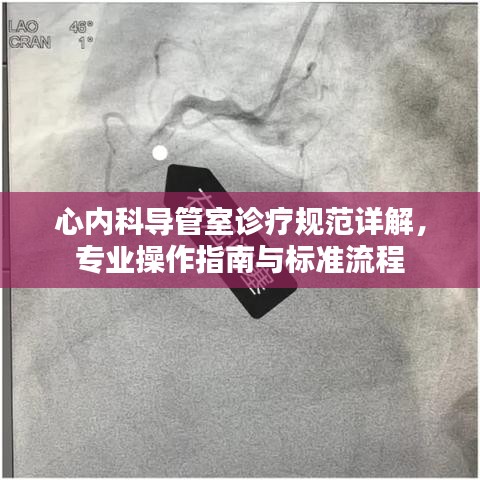 心內(nèi)科導(dǎo)管室診療規(guī)范詳解，專業(yè)操作指南與標(biāo)準(zhǔn)流程