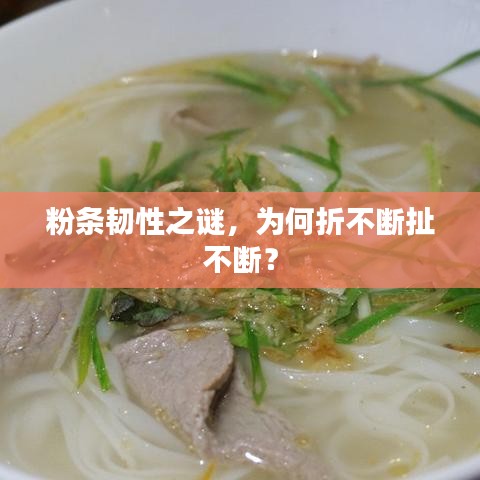 粉條韌性之謎，為何折不斷扯不斷？
