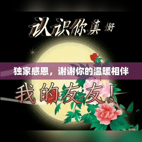 獨(dú)家感恩，謝謝你的溫暖相伴