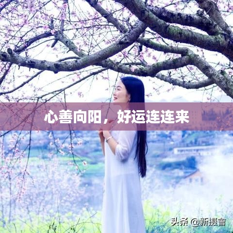 心善向陽(yáng)，好運(yùn)連連來(lái)
