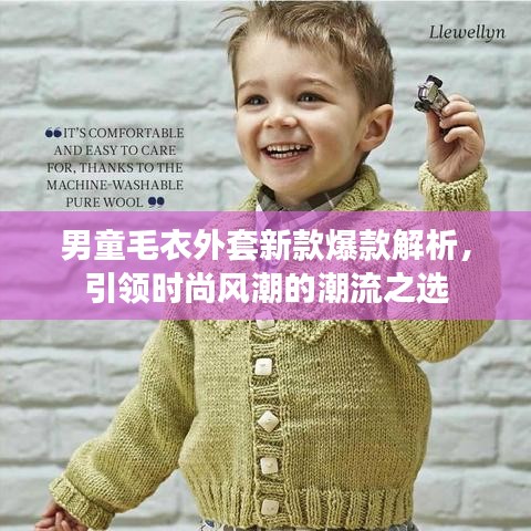 男童毛衣外套新款爆款解析，引領(lǐng)時(shí)尚風(fēng)潮的潮流之選
