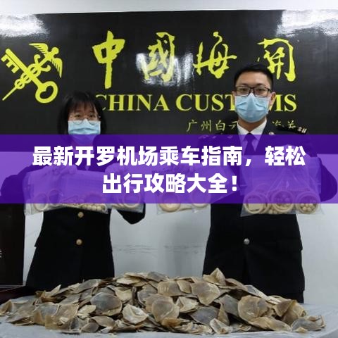 最新開(kāi)羅機(jī)場(chǎng)乘車指南，輕松出行攻略大全！