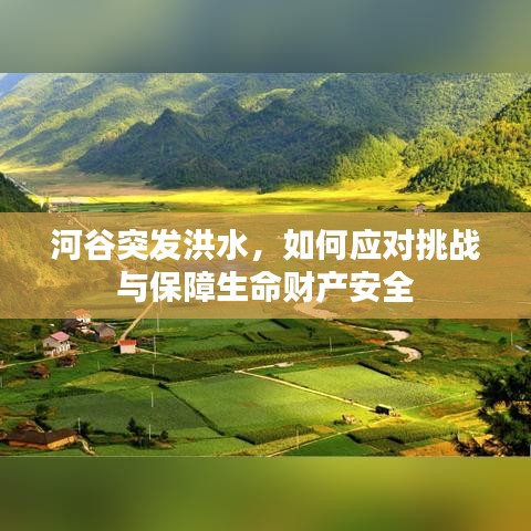 河谷突發(fā)洪水，如何應(yīng)對(duì)挑戰(zhàn)與保障生命財(cái)產(chǎn)安全