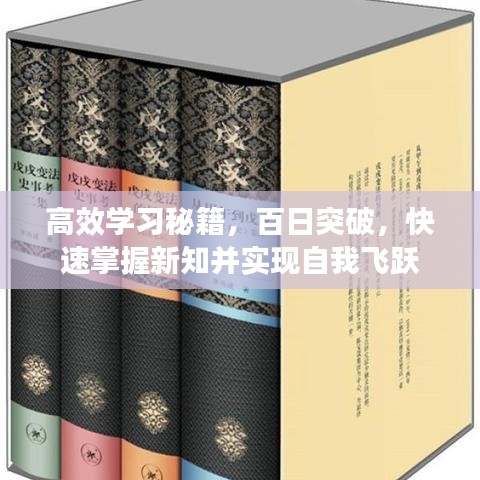 高效學(xué)習(xí)秘籍，百日突破，快速掌握新知并實(shí)現(xiàn)自我飛躍