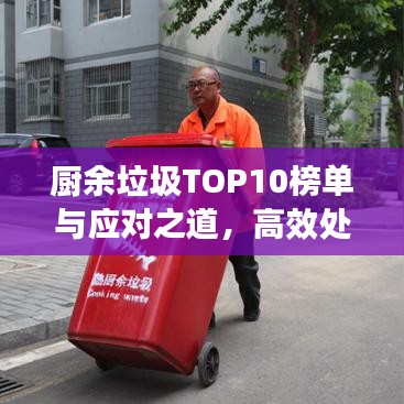 廚余垃圾TOP10榜單與應(yīng)對之道，高效處理策略揭秘
