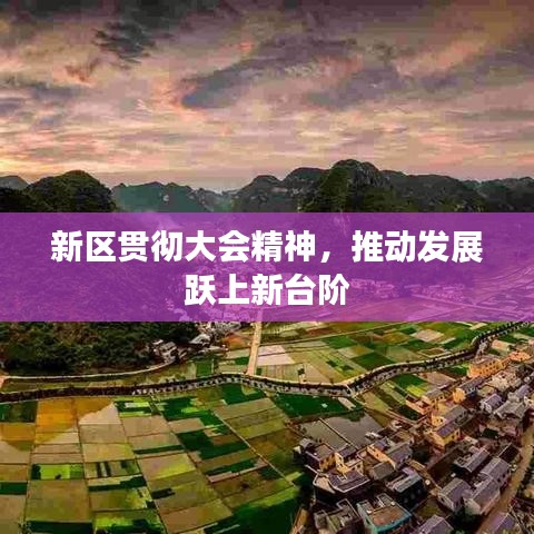 新區(qū)貫徹大會精神，推動發(fā)展躍上新臺階