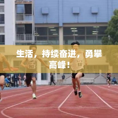 生活，持續(xù)奮進，勇攀高峰！