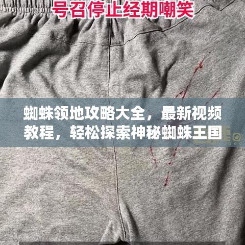 蜘蛛領(lǐng)地攻略大全，最新視頻教程，輕松探索神秘蜘蛛王國！