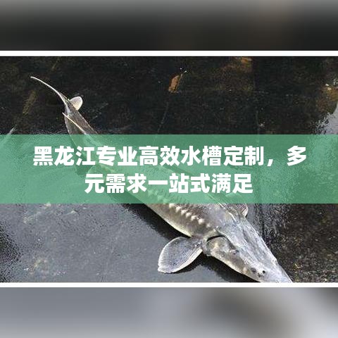 黑龍江專(zhuān)業(yè)高效水槽定制，多元需求一站式滿足