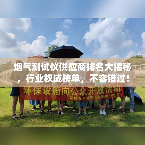 煙氣測(cè)試儀供應(yīng)商排名大揭秘，行業(yè)權(quán)威榜單，不容錯(cuò)過(guò)！