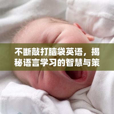不斷敲打腦袋英語(yǔ)，揭秘語(yǔ)言學(xué)習(xí)的智慧與策略