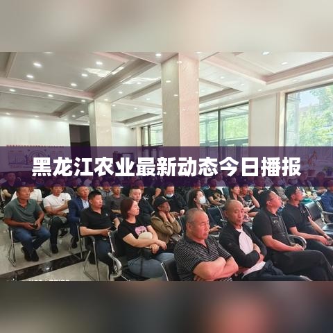 黑龍江農(nóng)業(yè)最新動(dòng)態(tài)今日播報(bào)