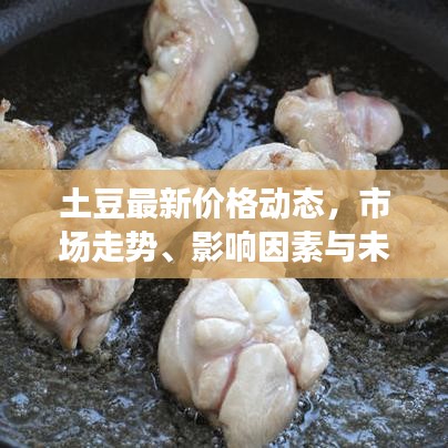 土豆最新價格動態(tài)，市場走勢、影響因素與未來預(yù)測分析