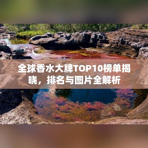 全球香水大牌TOP10榜單揭曉，排名與圖片全解析