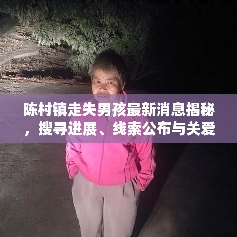 陳村鎮(zhèn)走失男孩最新消息揭秘，搜尋進展、線索公布與關愛行動啟動