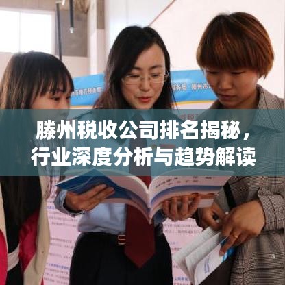 滕州稅收公司排名揭秘，行業(yè)深度分析與趨勢(shì)解讀