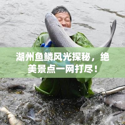 湖州魚鱗風(fēng)光探秘，絕美景點(diǎn)一網(wǎng)打盡！
