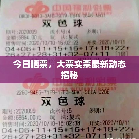 今日曬票，大票實(shí)票最新動(dòng)態(tài)揭秘