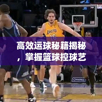 高效運(yùn)球秘籍揭秘，掌握籃球控球藝術(shù)的關(guān)鍵要領(lǐng)