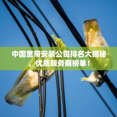 中國(guó)寬帶安裝公司排名大揭秘，優(yōu)質(zhì)服務(wù)商榜單！