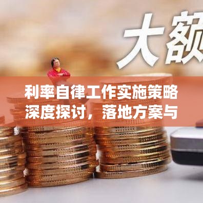 利率自律工作實(shí)施策略深度探討，落地方案與效果展望