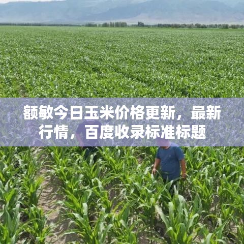 額敏今日玉米價(jià)格更新，最新行情，百度收錄標(biāo)準(zhǔn)標(biāo)題