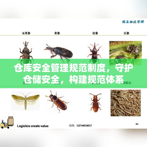倉庫安全管理規(guī)范制度，守護(hù)倉儲安全，構(gòu)建規(guī)范體系