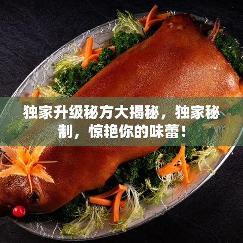 獨(dú)家升級(jí)秘方大揭秘，獨(dú)家秘制，驚艷你的味蕾！