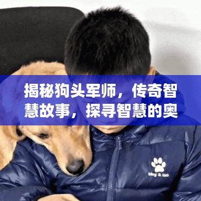 揭秘狗頭軍師，傳奇智慧故事，探尋智慧的奧秘