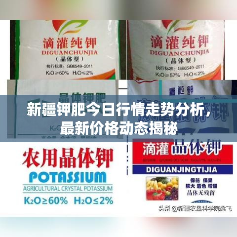 新疆鉀肥今日行情走勢(shì)分析，最新價(jià)格動(dòng)態(tài)揭秘