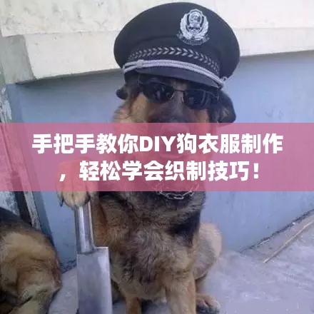 手把手教你DIY狗衣服制作，輕松學(xué)會織制技巧！