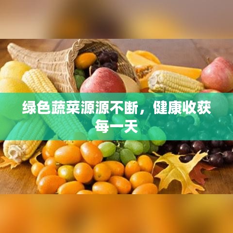 綠色蔬菜源源不斷，健康收獲每一天